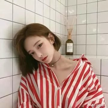 北极征熊记